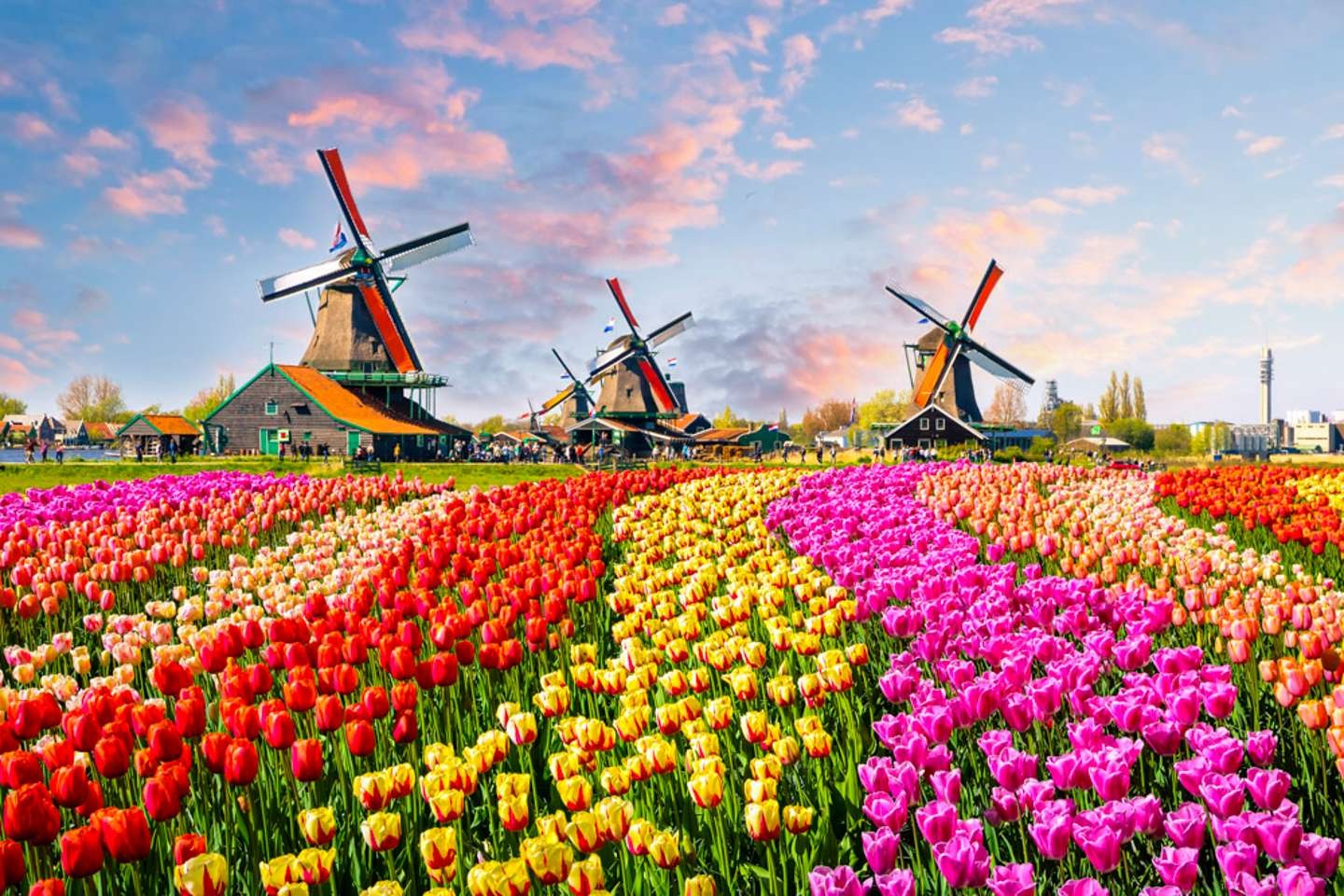 iStock-937057490-MOBILE_HEADER